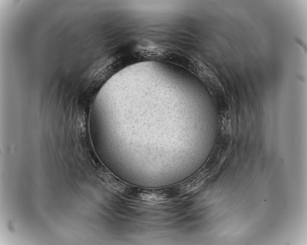 X0000098020561200804071356