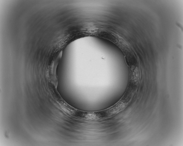 X0000098020562200804071356