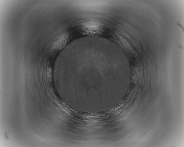 X0000098020563200804071356