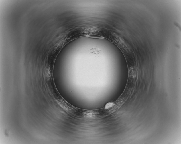 X0000098020564200804071356