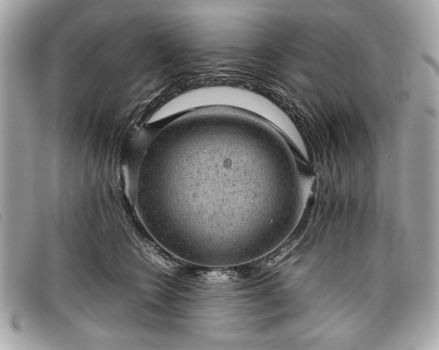 X0000098020566200804071356