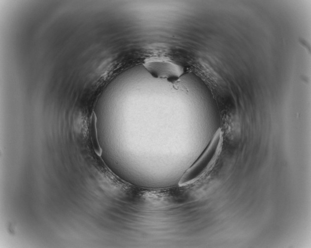 X0000098020568200804071356