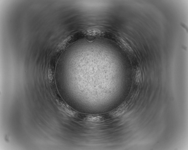 X0000098020569200804071356