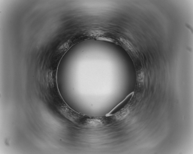 X0000098020572200804071356