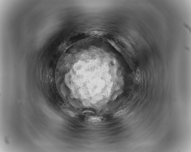 X0000098020573200804071356