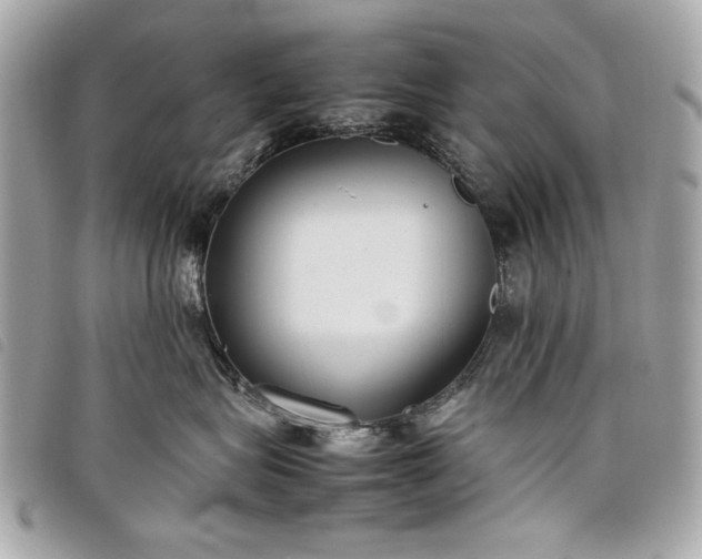 X0000098020575200804071357