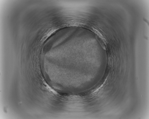 X0000098020577200804071356