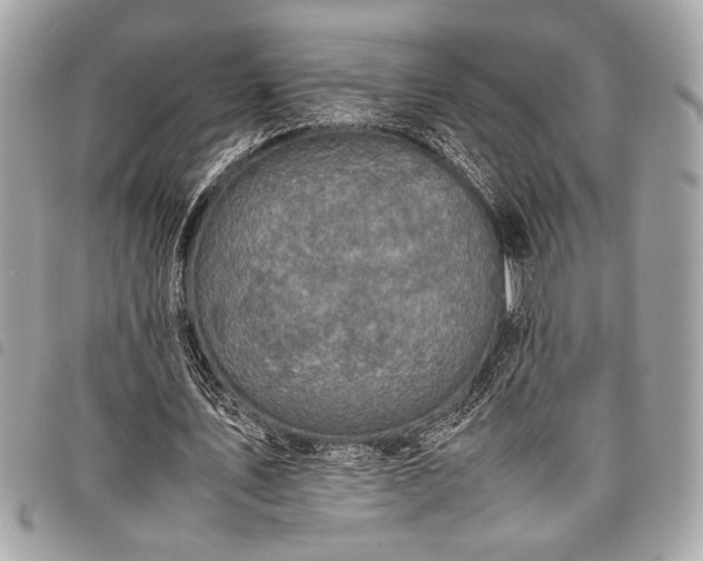 X0000098020579200804071356