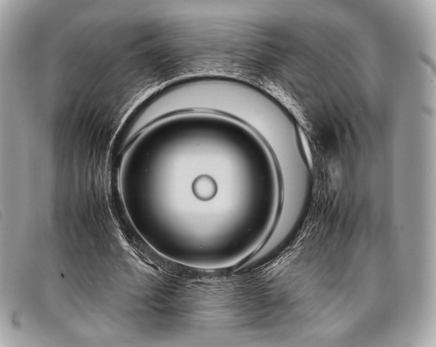 X0000098020580200804071356