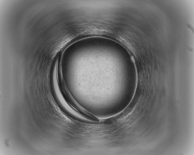 X0000098020581200804071356