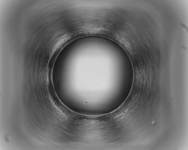 X0000098020582200804071356