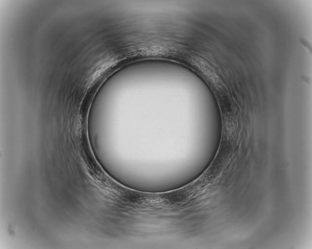 X0000098020583200804071356