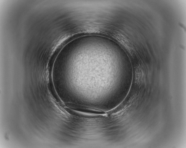 X0000098020584200804071356