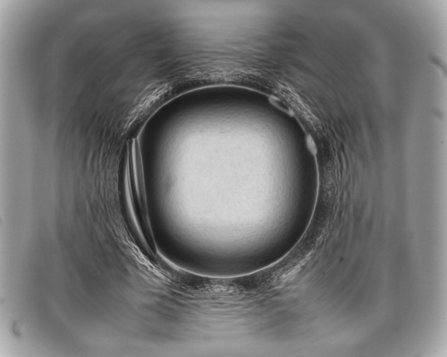 X0000098020585200804071356