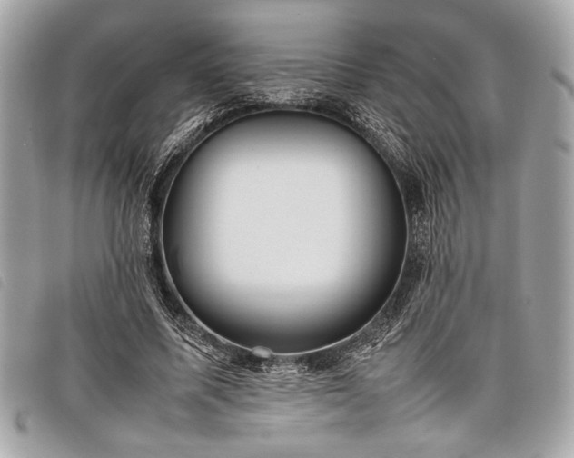 X0000098020587200804071356