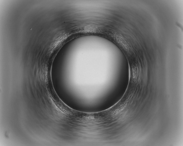 X0000098020588200804071356