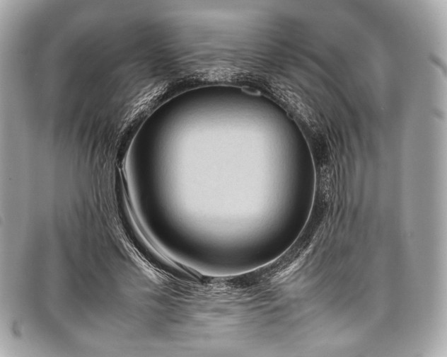 X0000098020589200804071356