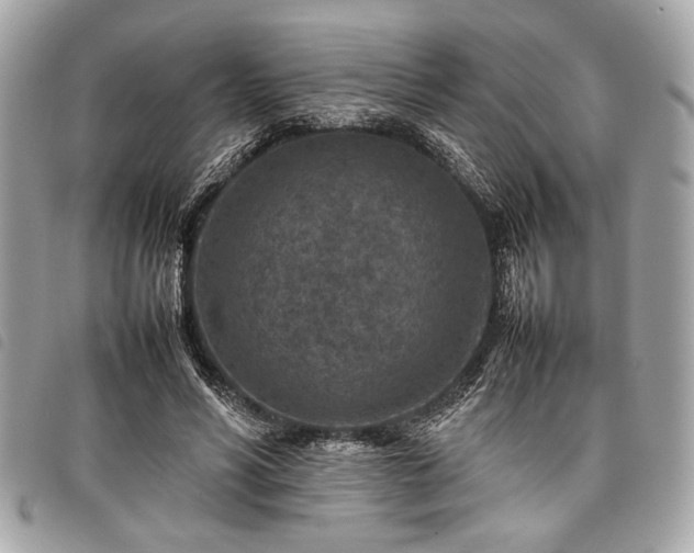 X0000098020590200804071356