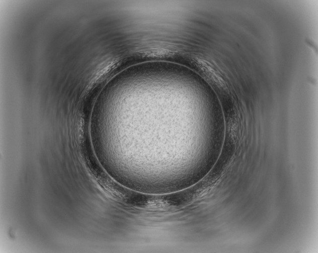 X0000098020591200804071356