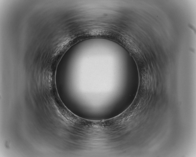 X0000098020592200804071356