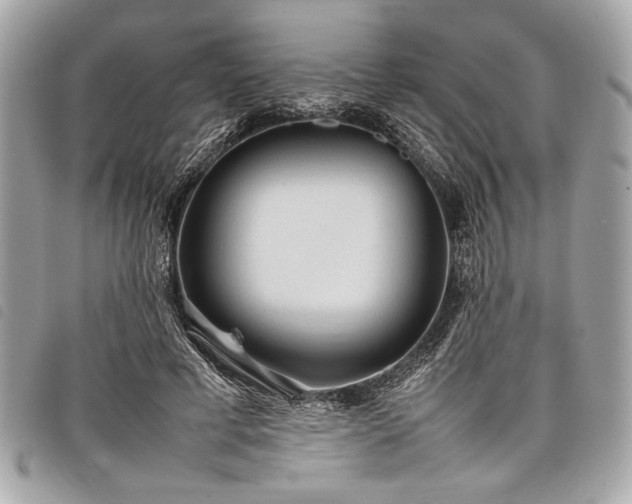 X0000098020593200804071356