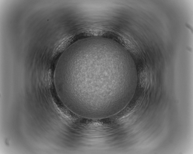 X0000098020594200804071356