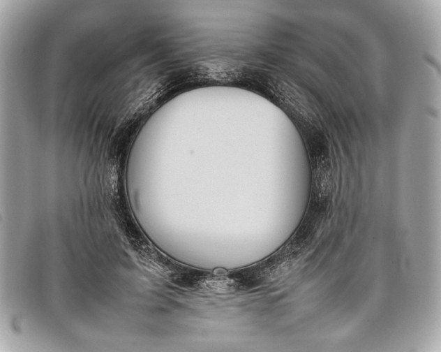 X0000098020595200804071356