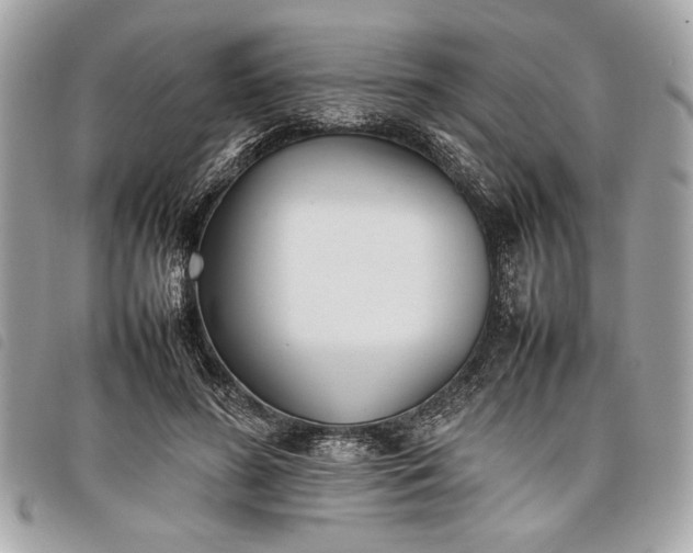 X0000098020596200804071356