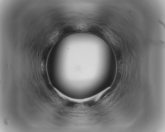 X0000098020597200804071356