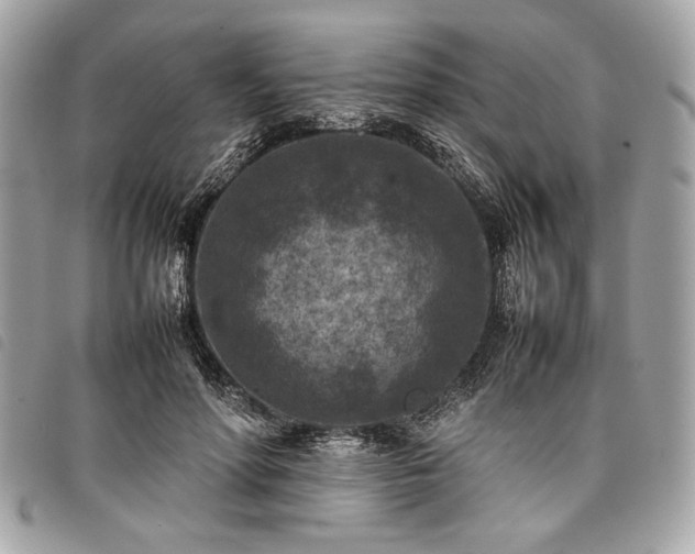 X0000098020598200804071356