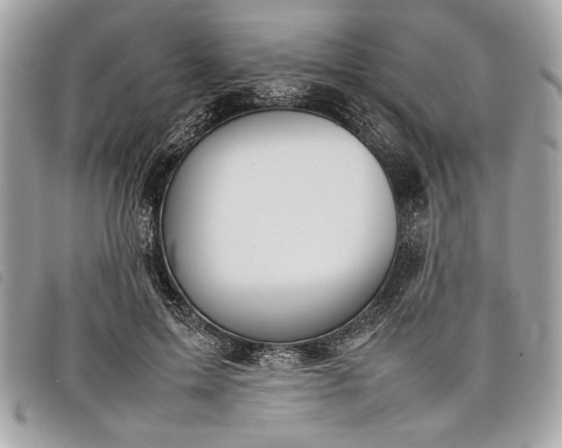 X0000098020599200804071356