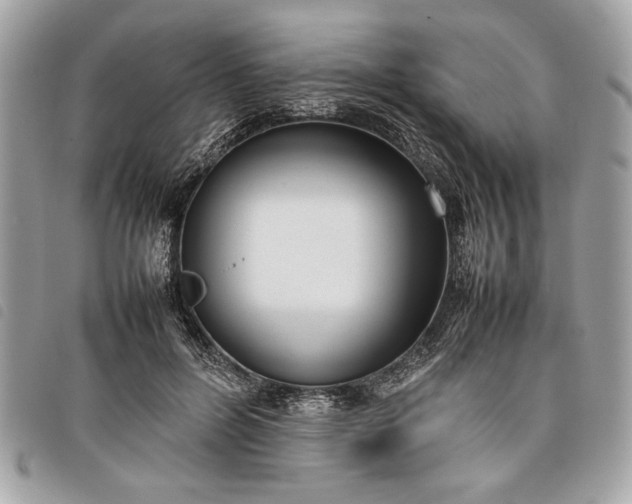 X0000098020600200804071355