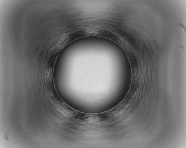 X0000098020601200804071355