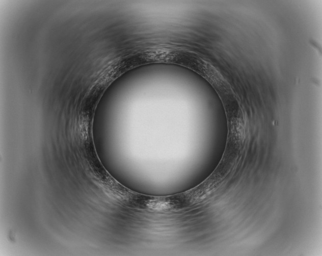 X0000098020602200804071355