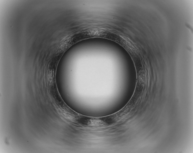 X0000098020605200804071355