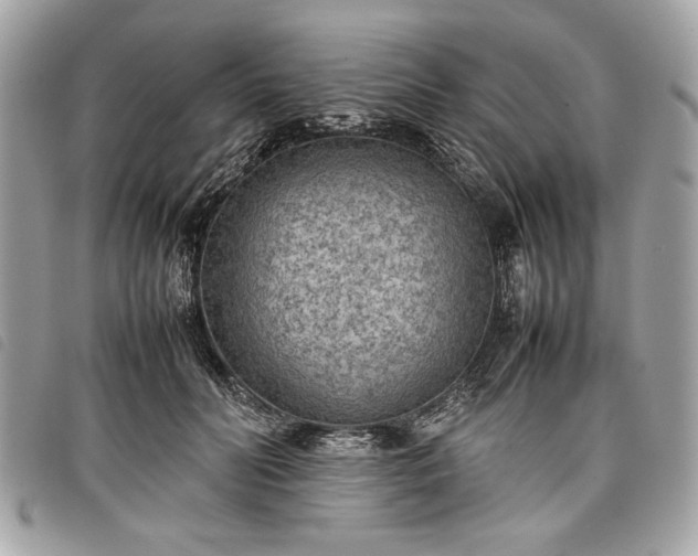 X0000098020606200804071355