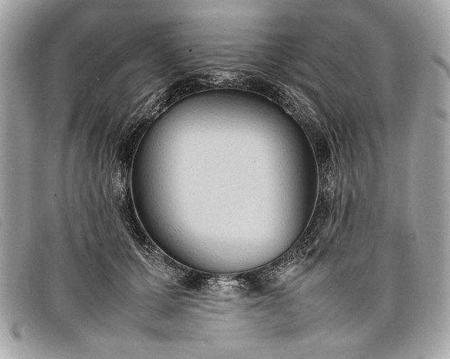 X0000098020607200804071355