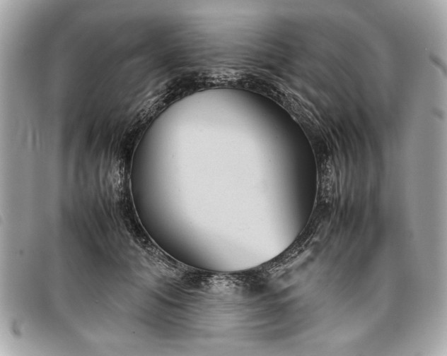 X0000098020608200804071355