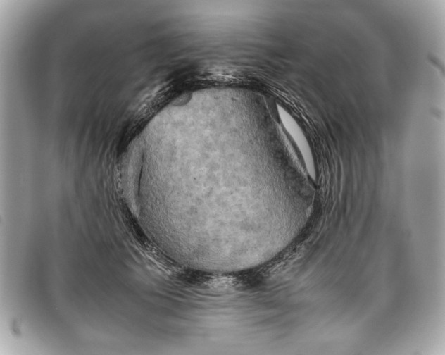 X0000098020609200804071355