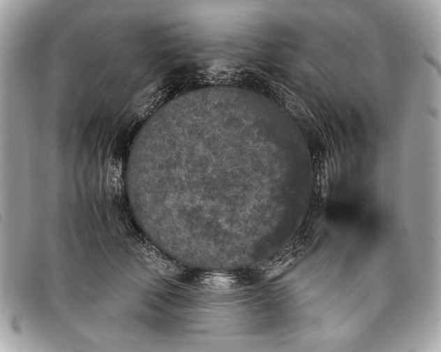 X0000098020610200804071355