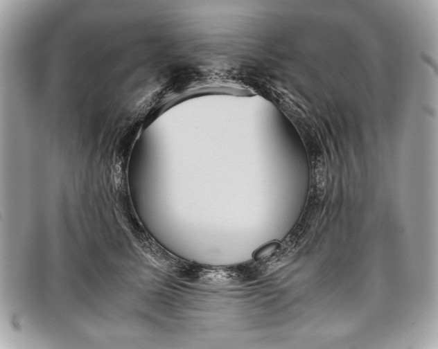 X0000098020611200804071355