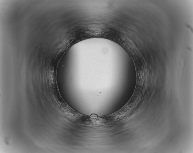 X0000098020612200804071355