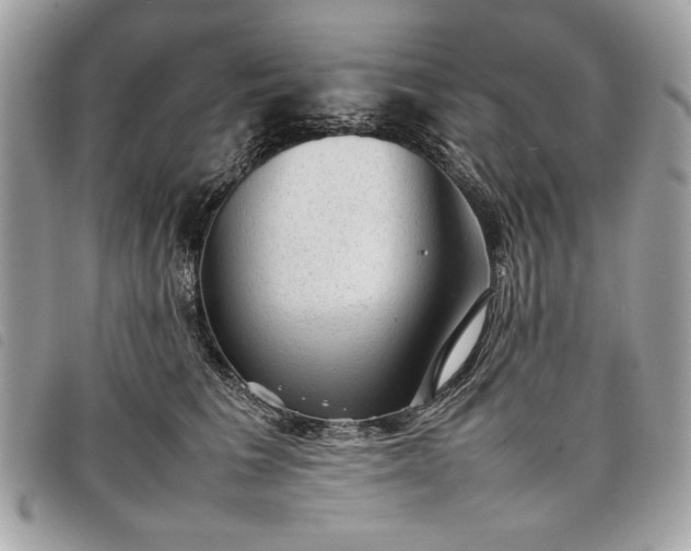 X0000098020613200804071355