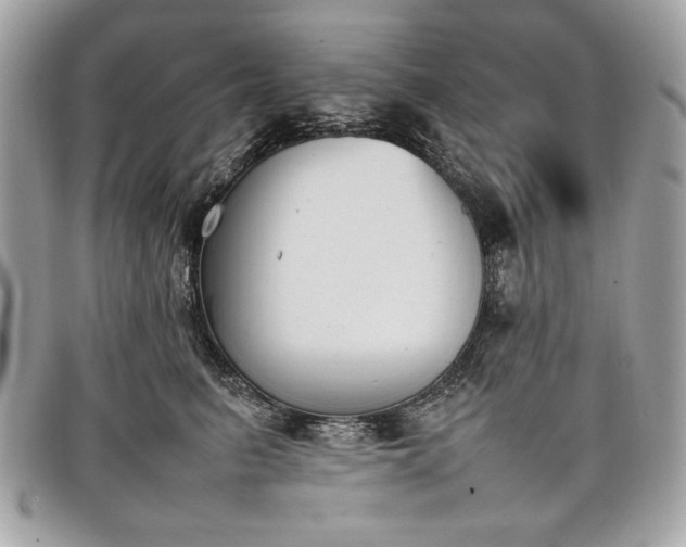 X0000098020615200804071355