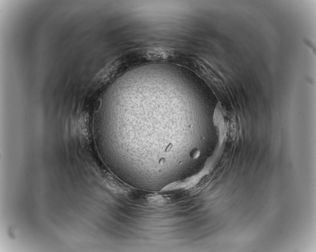 X0000098020616200804071355