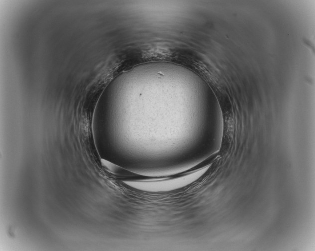 X0000098020617200804071355