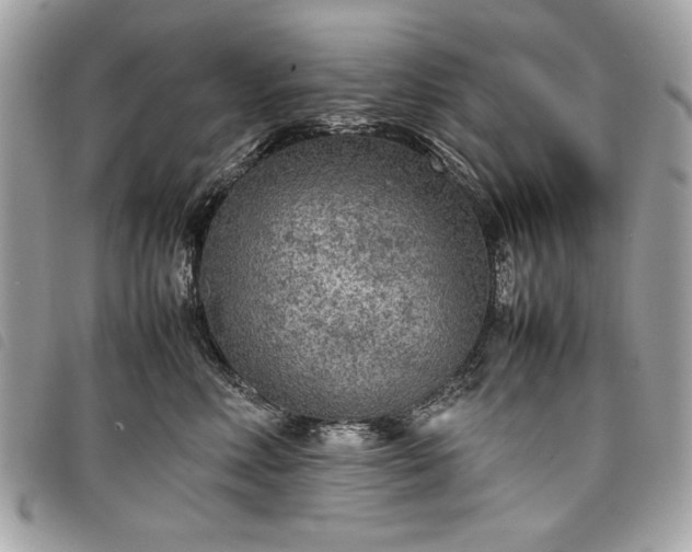 X0000098020618200804071355