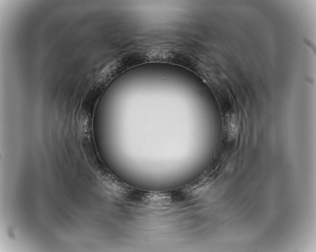 X0000098020619200804071355