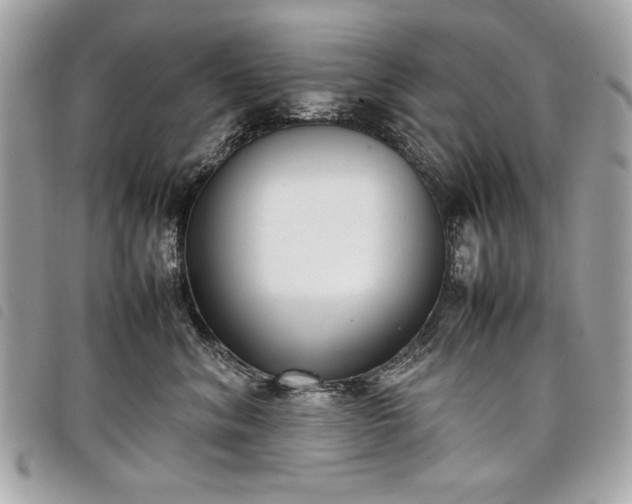 X0000098020620200804071355