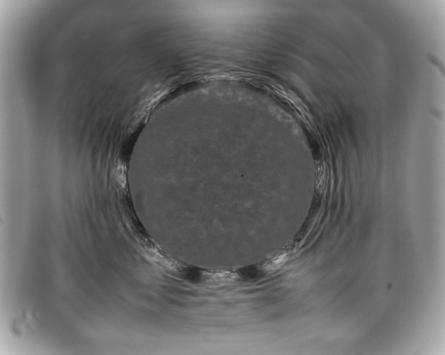 X0000098020621200804071355